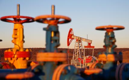 Нефтяные качели: Россия или будет купаться в нефтедолларах, или окажется с дырой в бюджете